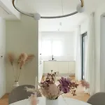 Adria Concept Zára